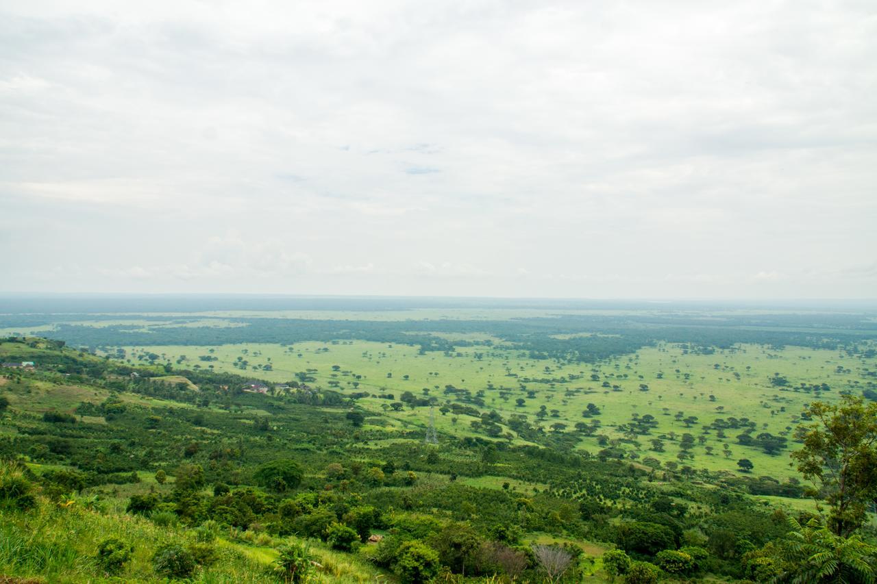 Queen Elizabeth Pvt Lodge Kichwamba Exteriör bild